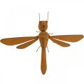 Floristik24 Decorative dragonfly, bed decoration, garden figure patina L28cm H21cm