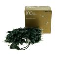 Floristik24 Light chain mini 100 15m for indoor green / clear