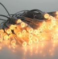 Floristik24 Light chain mini 100 15m for indoor use white/clear