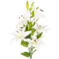 Floristik24 Artificial lilies, 6 white blossoms, realistic flowering branch, 66cm