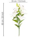 Artificial lilies, 6 white blossoms, realistic flowering branch, 66cm | Floristik24.ie
