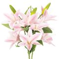 Artificial lily flower, stem