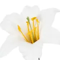 Artificial lily flower, white, on wire, medium size, 35cm, 5 pieces | Floristik24.ie