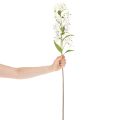 Artificial white lily with long flowering branch, decorative, 80cm | Floristik24.ie