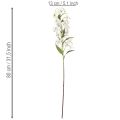 Artificial white lily with long flowering branch, decorative, 80cm | Floristik24.ie
