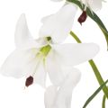 Artificial white lily with long flowering branch, decorative, 80cm | Floristik24.ie