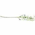 Floristik24 Lily white 82cm