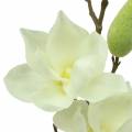 Floristik24 Magnolia Real Touch White 70cm