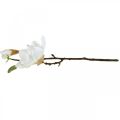 Floristik24 Magnolia white artificial flower with buds on decorative branch H40cm