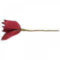 Floristik24 Artificial magnolia red artificial flower foam flower decoration Ø10cm 6pcs
