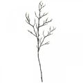 Floristik24 Spring Magnolia Branch Bud Artificial Branch Brown White L100cm