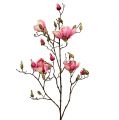 Floristik24 Magnolia branch violet 110cm 1p