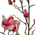 Floristik24 Magnolia branch violet 110cm 1p