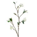 Floristik24 Magnolia branch white L 82cm with snow