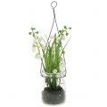 Floristik24 Lily of the valley in a glass to hang H22cm