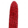 Dried Corn cobs on stick Décor Red White washed 20 pcs | Floristik24.ie