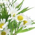 Floristik24 Bouquet of daisies with decorative grass 37cm