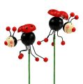 Floristik24 Ladybug on a stick 5cm 12pcs