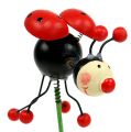Floristik24 Ladybug on a stick 5cm 12pcs