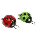 Floristik24 Ladybug with clip 4.5cm red, green 6pcs