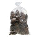 Maritima cones 14/18 natural 25 pcs | Floristik24.ie