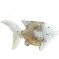 Floristik24 Maritime decoration fish wood wooden fish shabby chic 17×8cm