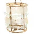 Floristik24 Maritime decoration lantern Capiz wood glass natural Ø17.5cm H34cm