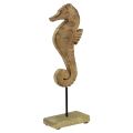 Floristik24 Maritime decoration seahorse on stand natural mango wood 29.5cm