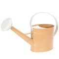 Floristik24 Metal decorative watering can, vintage look, light brown, 52.5cm - planter for table decoration &amp; summer decoration