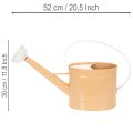 Metal decorative watering can, vintage look, light brown, 52.5cm - planter for table decoration &amp; summer decoration | Floristik24.ie