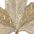 Floristik24 Metal Wall Decoration Maple Leaf Candle Holder Golden Antique 42cm × 39cm