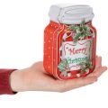 Metal cookie tin with Christmas motif in a cookie jar design, 15cm, 2 pieces | Floristik24.ie