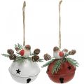 Floristik24 Bells with robins, bird decorations, winter, decorative bells for Christmas white / red Ø9cm H10cm set of 2