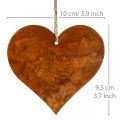 Floristik24 Hearts to hang autumn metal decoration patina 9.5×10cm 12pcs