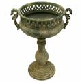 Floristik24 Decorative cup, antique look, metal, moss green, Ø19cm, H35.5cm