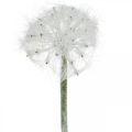 Floristik24 LED dandelion for battery white artificial flower lighting H50cm