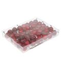Mini apple on wire Ø2.5cm 48 pcs | Floristik24.ie