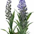 Floristik24 Mini lavender in a pot artificial plants Artificial lavender decoration