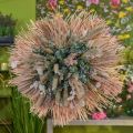 Floristik24 Mini palm spear, dry flowers, advent decoration, commemoration days natural L33–34cm W7–9cm 4pcs