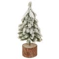 Floristik24 Mini Christmas Tree Wooden Base Green White Ø8cm H18cm 3pcs
