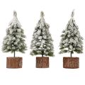Mini Christmas Tree Wooden Base Green White Ø8cm H18cm 3pcs | Floristik24.ie