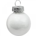 Floristik24 Mini Christmas balls glass white gloss/matt Ø2.5cm 24p