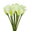 Floristik24 Mini Calla artificial white L 28cm 12 pcs