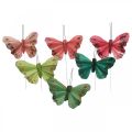 Floristik24 Mini butterfly on wire red, green 6.5cm 12pcs