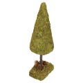 Floristik24 Mini Christmas tree table decoration moss tree H30.5cm