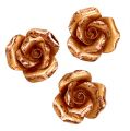 Floristik24 Mini roses copper 4cm 8pcs