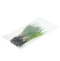 Floristik24 Mini grass with roots 18cm green 6pcs