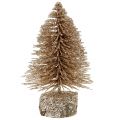 Floristik24 Mini Christmas tree gold with glitter 6pcs