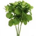 Floristik24 Artificial mint green, deco mint branches, silk flower L32cm 3pcs
