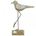 Floristik24 Wooden seagull, maritime decoration, coastal bird Shabby Chic, blue and white H25cm